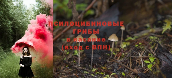 а пвп мука Алзамай