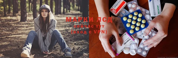 а пвп мука Алзамай